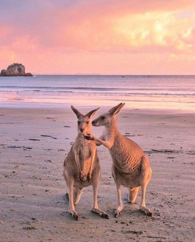 Tour Image Thumbnail